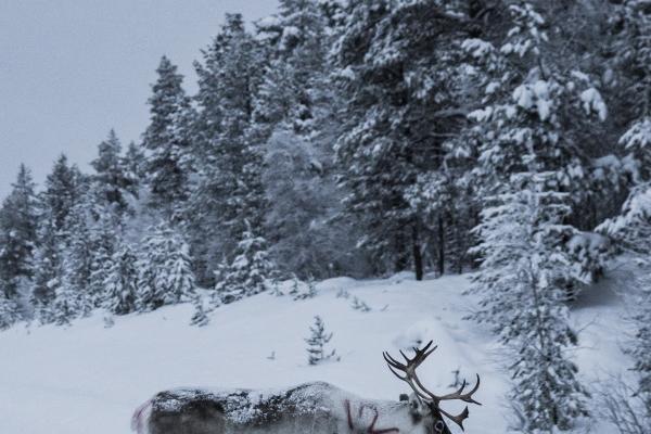 属牛人2025会添喜事吗