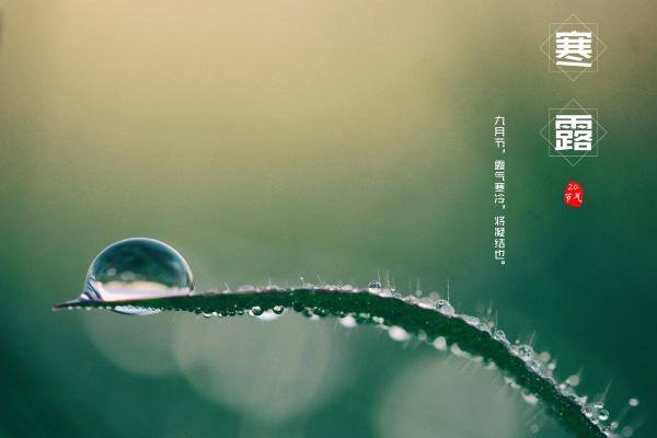 梦到亲戚家做客是什么预兆?