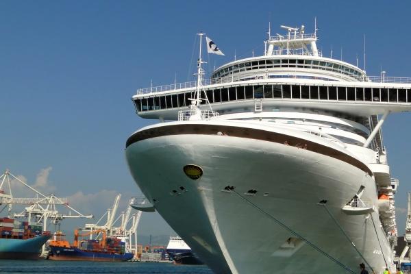 80年的猴晚年有多苦