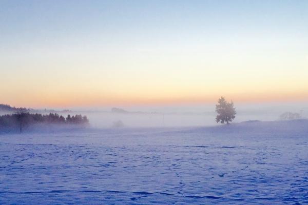 2026年五行属什么金木水火土