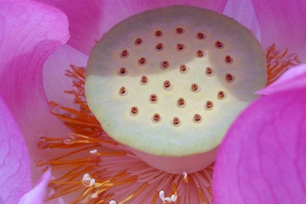 梦到被刀砍流血是吉兆吗?