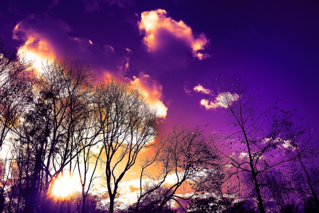 梦到了棒球棍是不是好的征兆呢