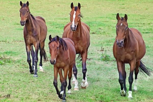 二两六算小富还是大富