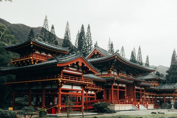 梦到了有人拿刀追预示什么