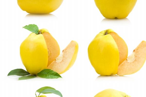 63年兔最大的坎是哪年