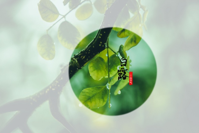 生肖蛇2026年会遇到什么灾难