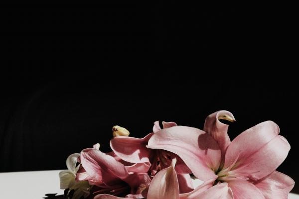 属羊的人五行属什么好