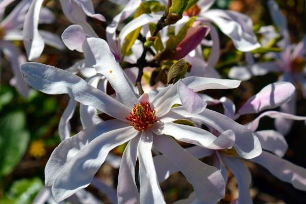 1963年属什么生肖