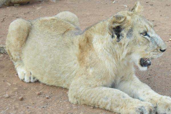 72鼠人发横财的年份