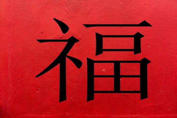 属龙晚年的命运发展如何