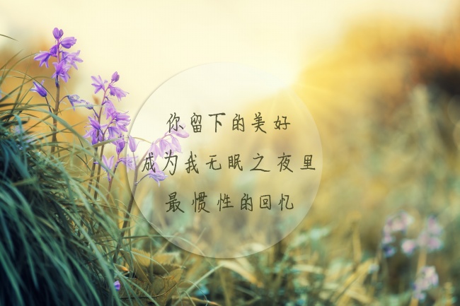 属牛晚年的命运发展如何