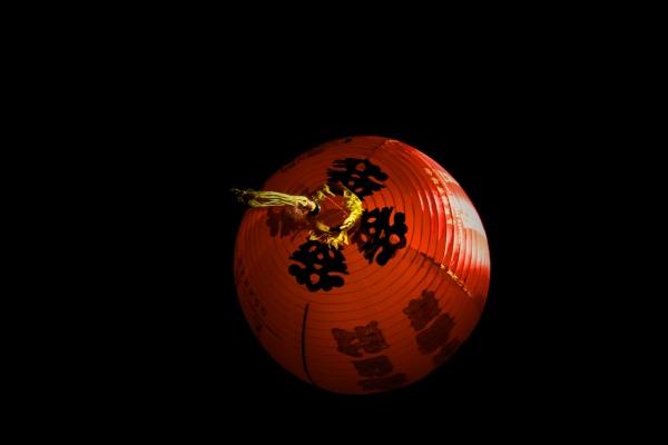 属羊的情感牵绊