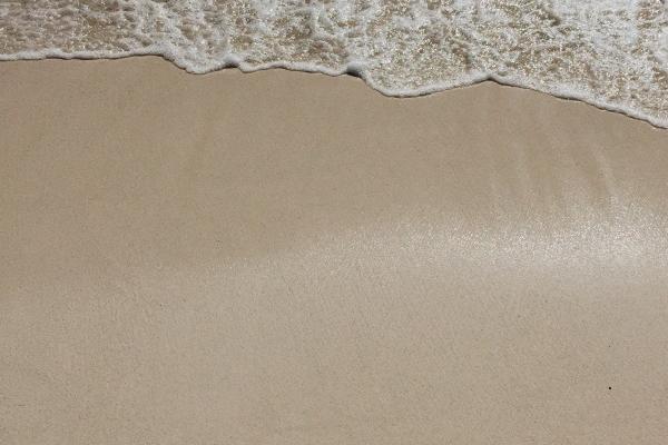 81年鸡财运最旺的三年