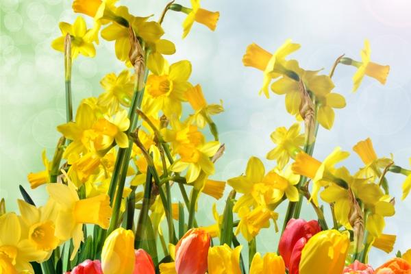 2026年属蛇人发财方向