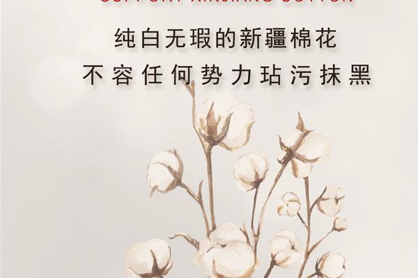 1966年是苦命马还是富马