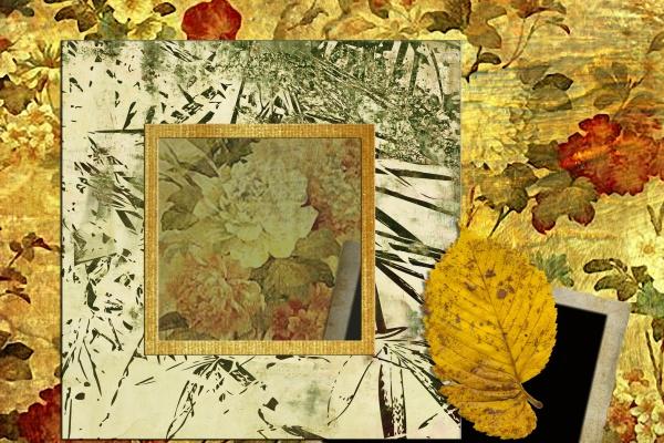 2026年是属羊人最大转变