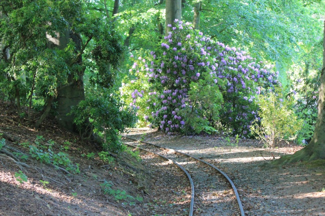 属狗的心里住着谁