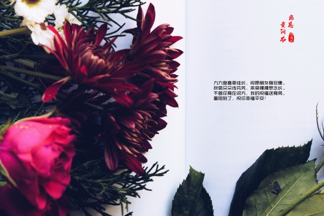 1991年羊正缘出现时间