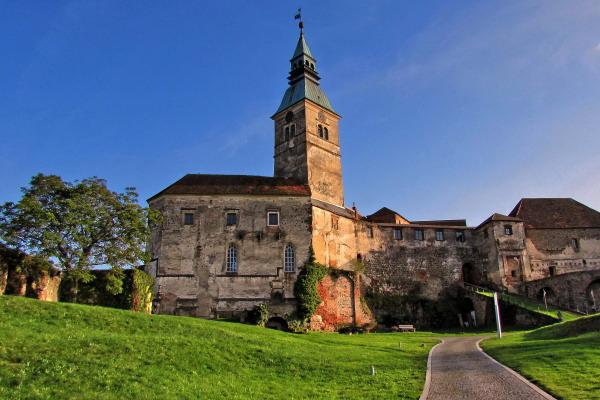 属虎2026年财运最好的月份，属虎人2026年如何提升财运