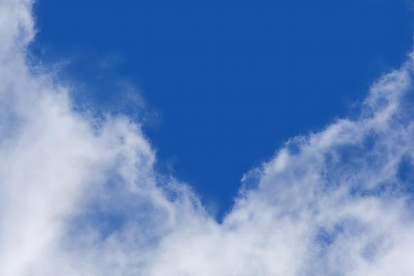 2026年属牛有添丁之喜吗,有子女运吗