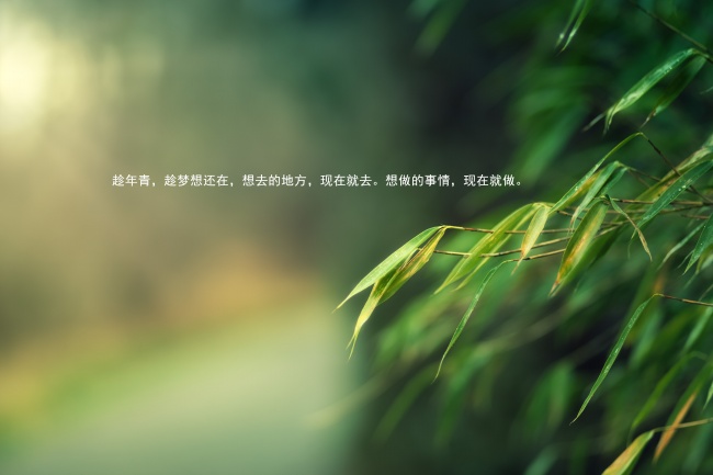 属猪为什么远离鼠人呢