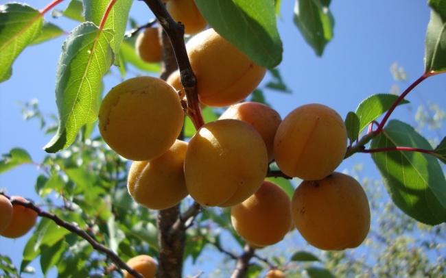 2025年11月4日结婚好吗