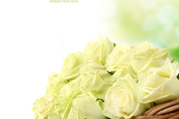 2025年11月5日提车好吗