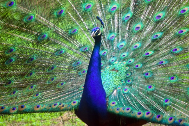 2025年11月5日是不是黄道吉日