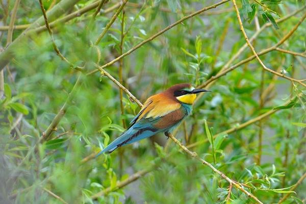 2025年11月5日安葬好吗