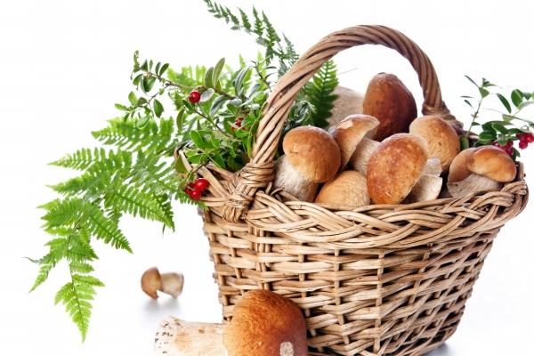 2025年阴历12月9日是不是黄道吉日