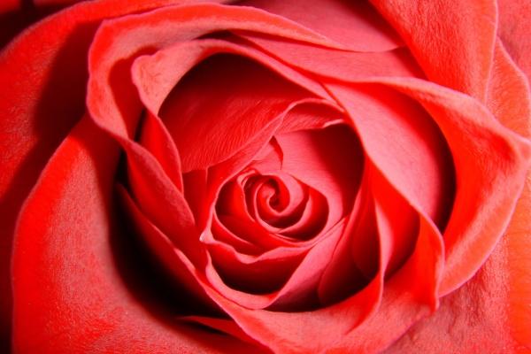 2026年1月9日吉时查询,哪个时辰好