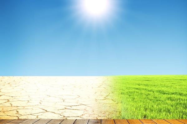 2025年阴历11月30日是不是黄道吉日