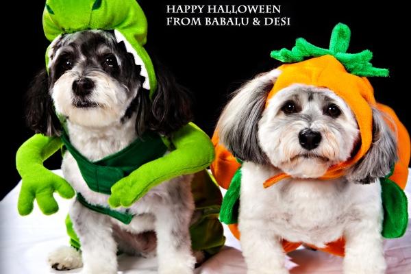 梦见以去世的亲人有什么预示吗