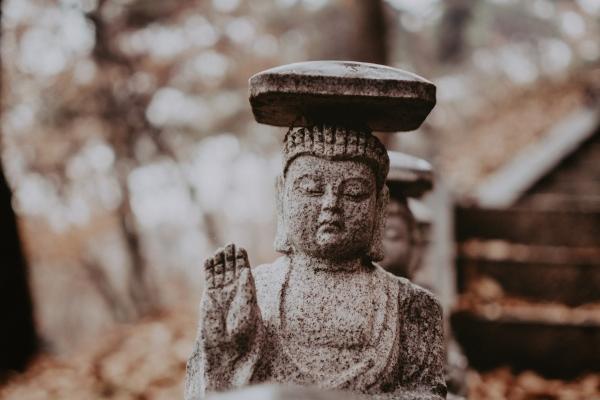 梦到蜗牛壳有什么预兆