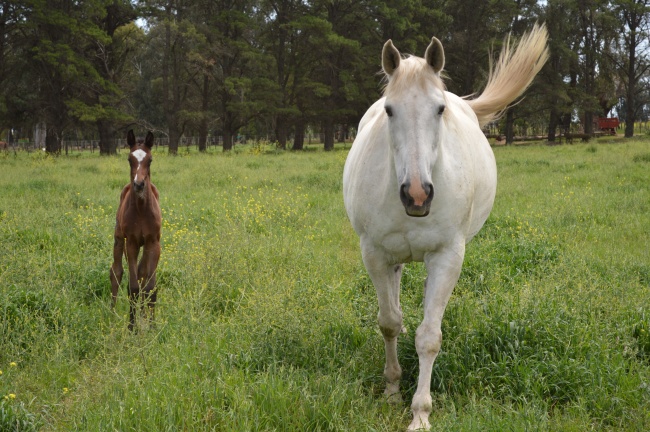 2026年农历3月安床的好日子