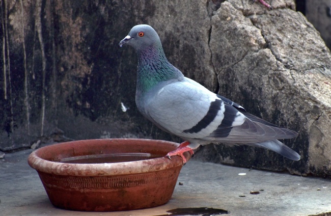 梦到和舅妈做爱什么寓意