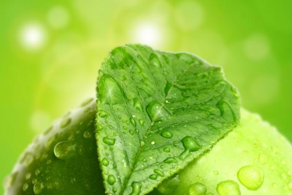 属猪人走大运的年龄