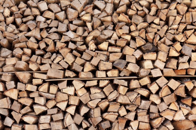 属牛人不能碰的桃花，属牛一生桃花劫是谁