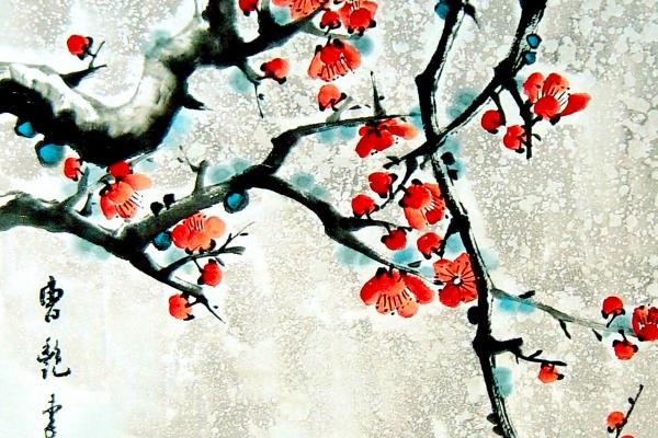 2026年马年属兔人忌讳什么