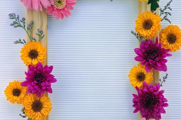 属猪人2026年每月运势