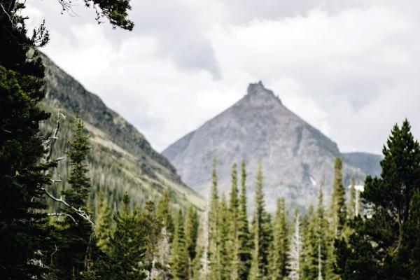 属鸡人不能碰的桃花，属鸡一生桃花劫是谁