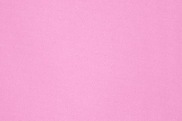 1999年属兔2026年运势及运程详解 99年属兔人2026年马年每月运程