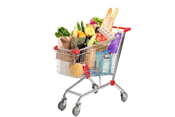 生肖狗的晚年宿命