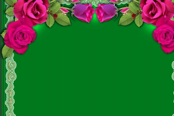 属虎人2026桃花是谁