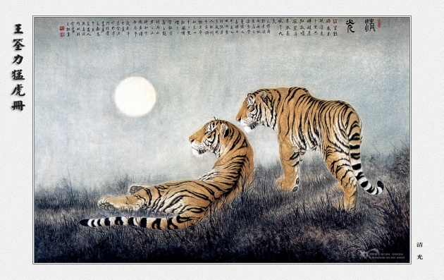 属猴今年有哪三灾,属猴2026年运势怎么样