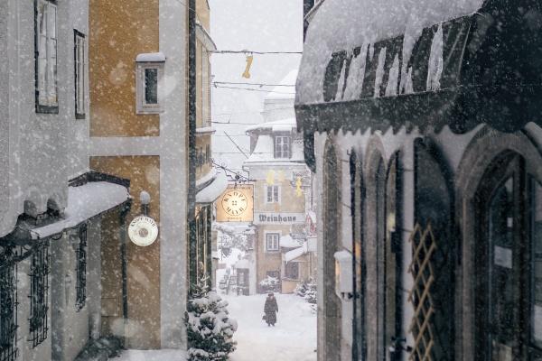 属狗人不能碰的桃花,属狗一生桃花劫是谁