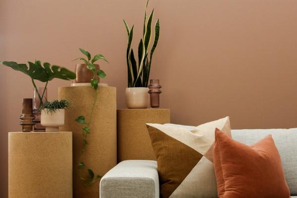 属蛇人2026大离别是谁