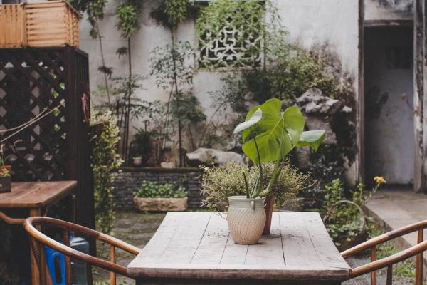 1997年属牛2026年运势及运程详解 97年属牛人2026年马年每月运程