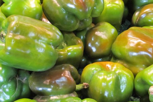 生肖牛最苦的年龄