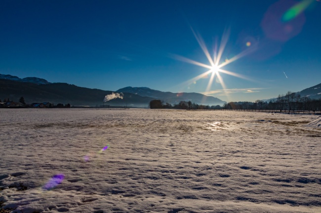 属猪今年有哪三灾，属猪2026年运势怎么样